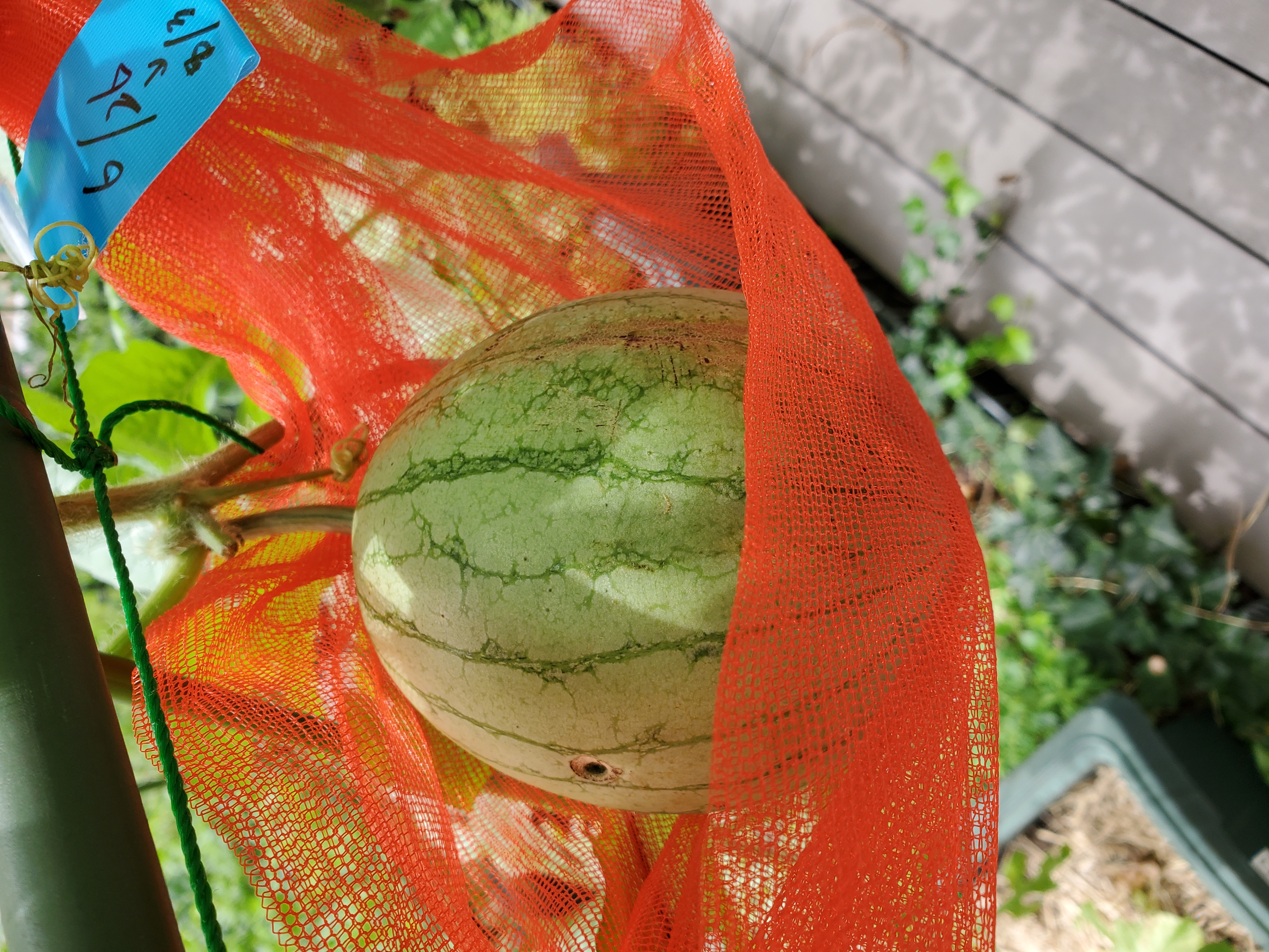 活動日 ・ 活動場所 ・ 活動内容