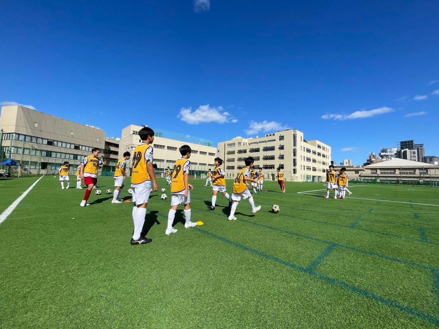 活動日 ・ 活動場所 ・ 活動内容