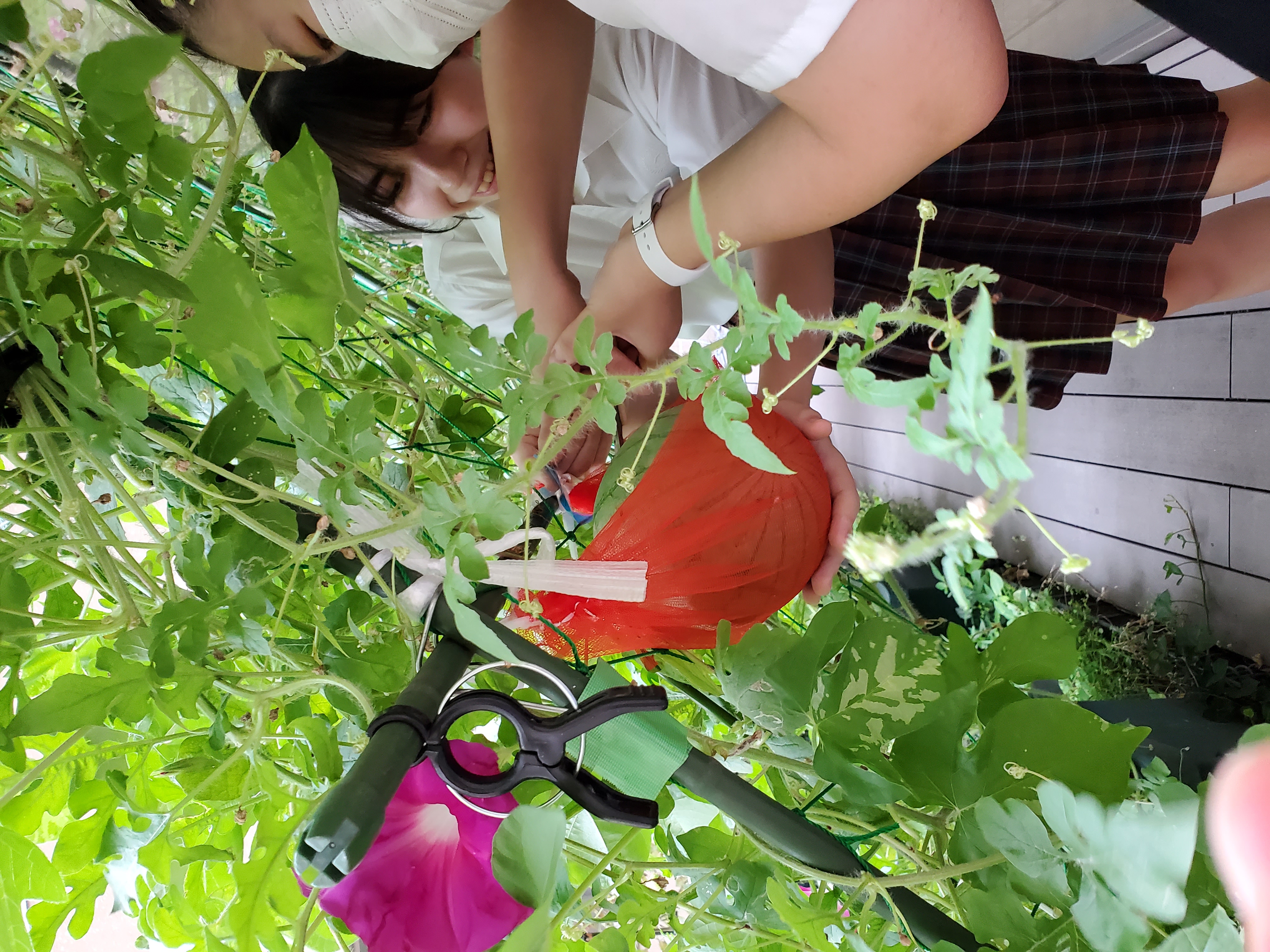 部員からのメッセージ